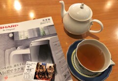 紅茶と洗濯機と猫と私