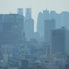 東京都庁がクッキリ