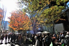 銀座骨董市