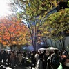銀座骨董市