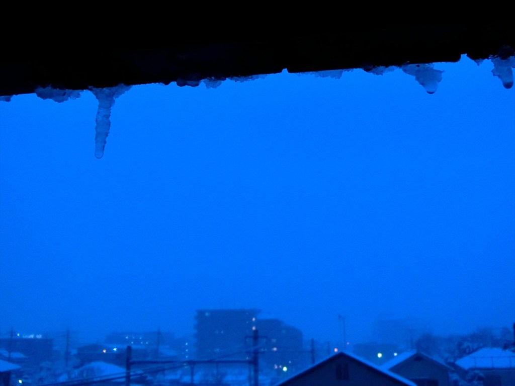 つらら、育ってます
