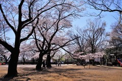 枡形城址に到着したものの