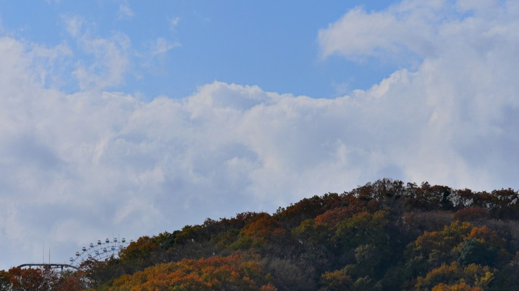 紅葉の見ごろ