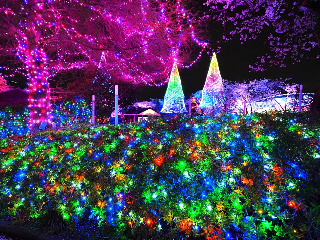 トンネルはダメでしたが