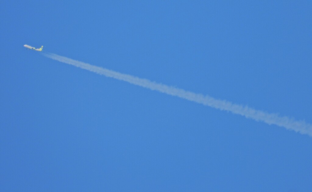 飛行機雲