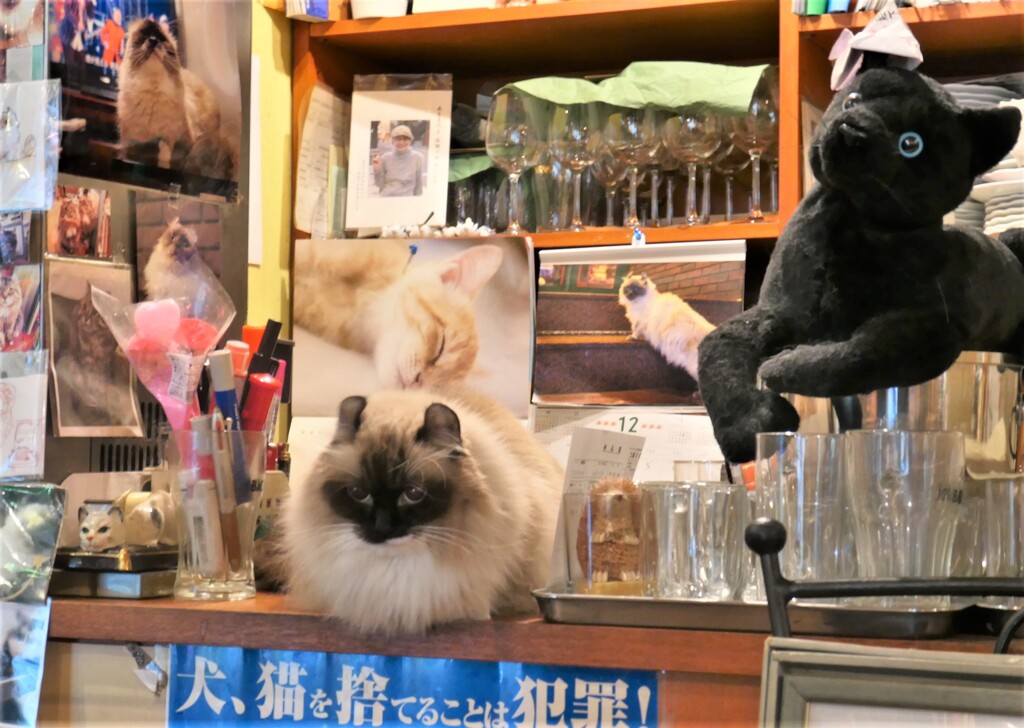 いらっしゃませ