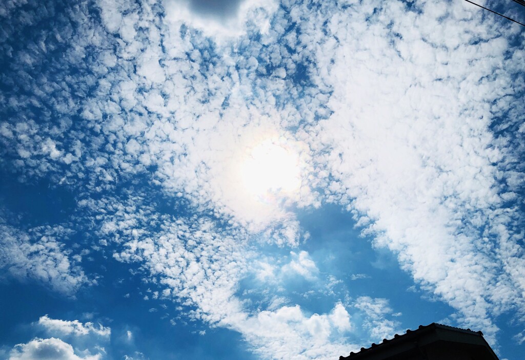 36度の秋空