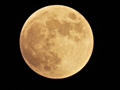 皆既月食の夜