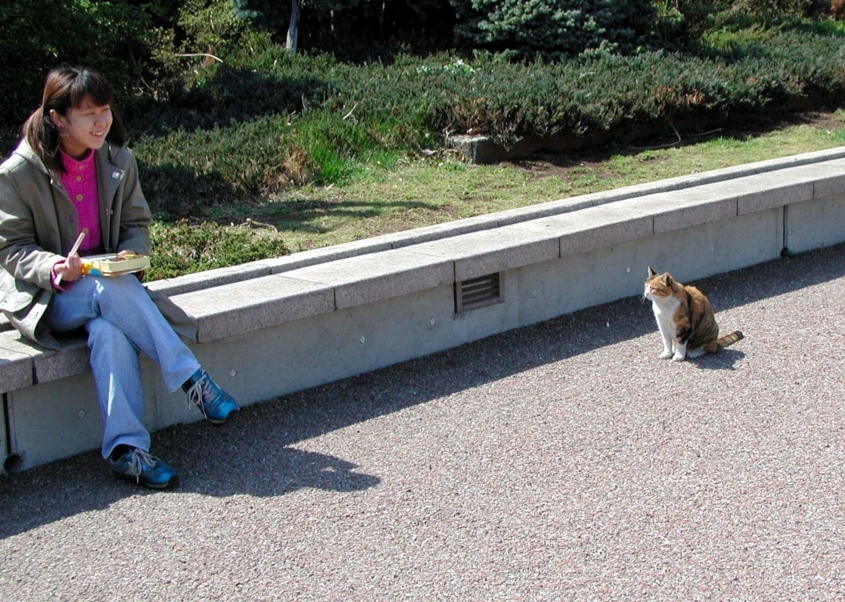 まずジッと見つめる