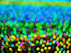 アウトフォーカス