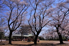 快晴に恵まれたのに