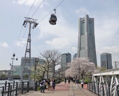 汽車道の観光客