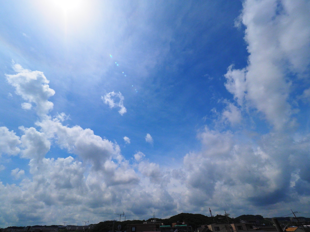 いよいよ夏本番か