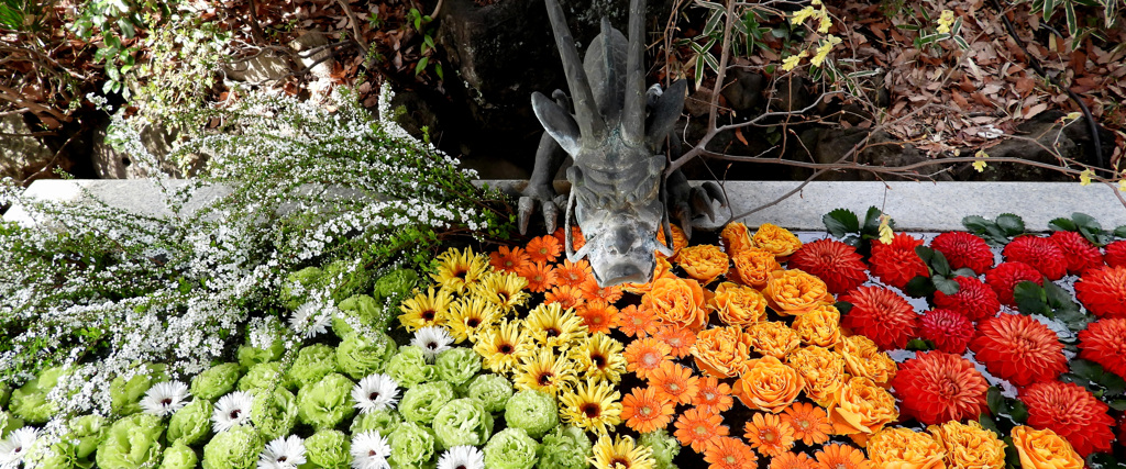 龍水の花