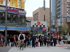 東京日和
