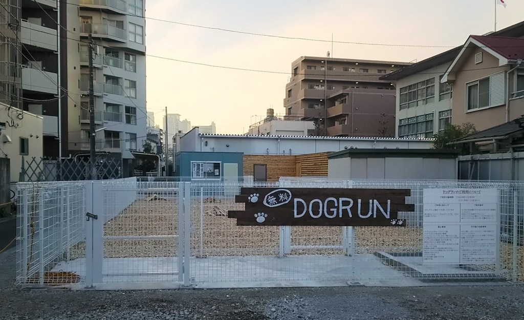 いつの間にドッグラン！