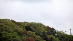 雨の日はジャズとコーヒーとデジカメの撮り比べをしよう