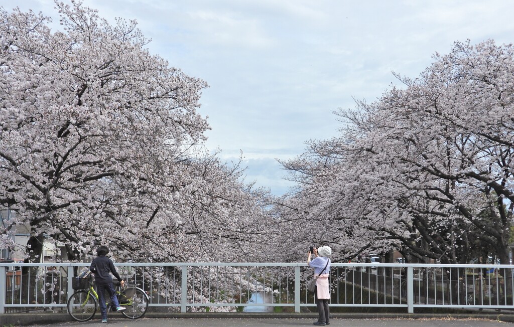 女性のおひとり様散歩