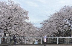 女性のおひとり様散歩