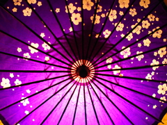 紫の花傘