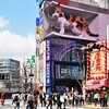 立体ビジョンの三毛猫２
