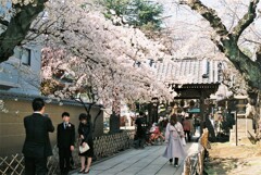 早く撮ってよ