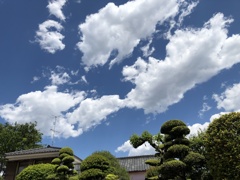 稲田堤の青い空