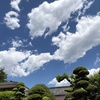 稲田堤の青い空