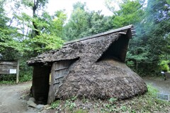 4500年前の住居