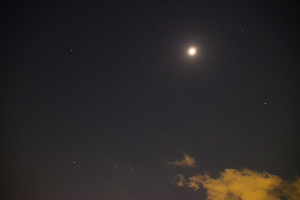 ペンタックスKPで