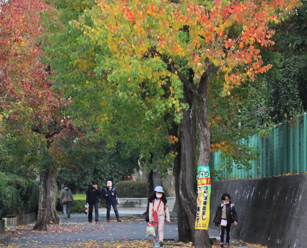 学校帰り