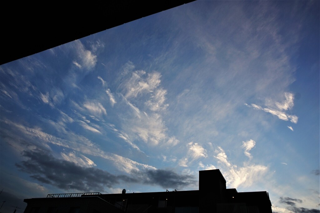 青の空