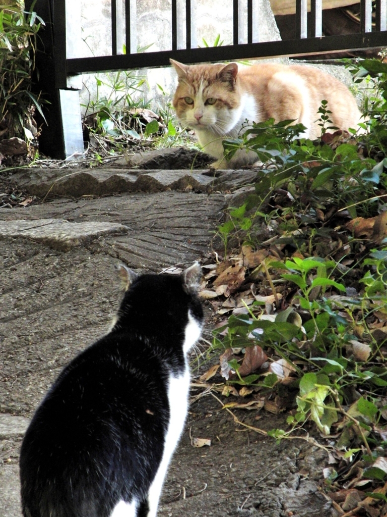 目そらしてんじゃねーよ