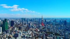 東京タワー 東京タワー