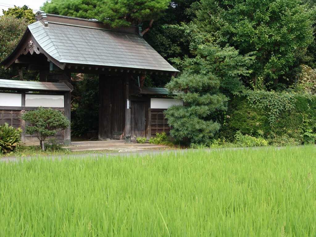 元庄屋屋敷