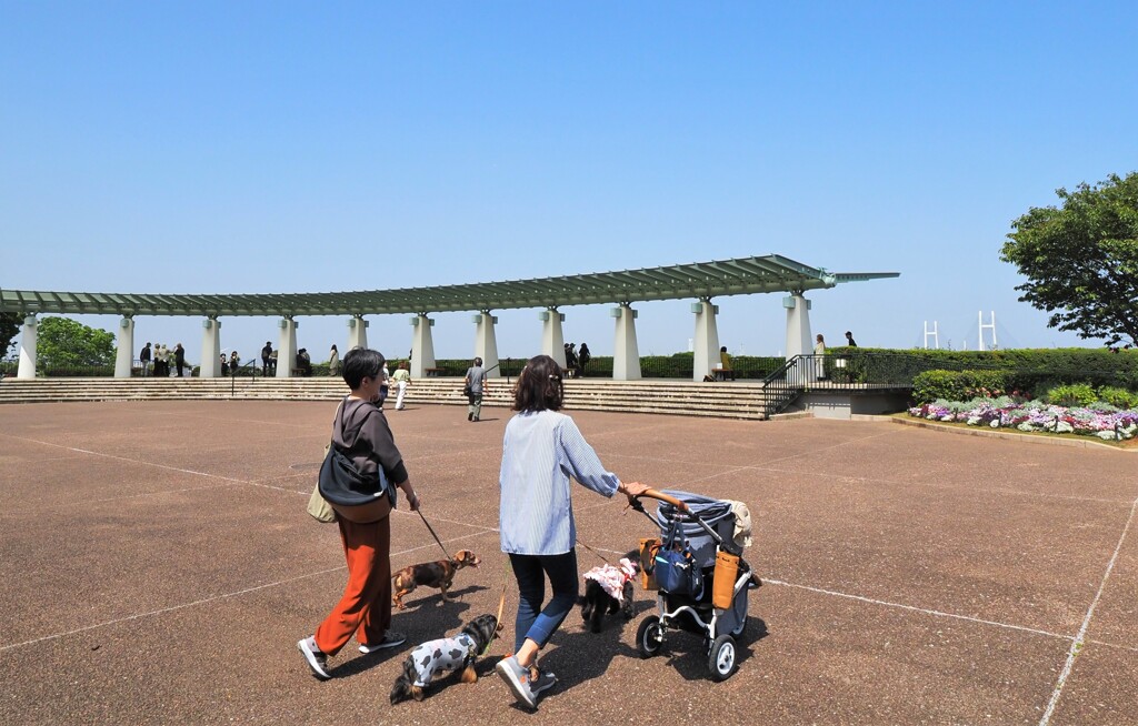 港の見える丘公園