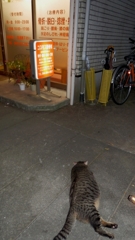 腰痛めちゃったんすけど