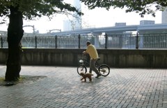 隅田公園の朝