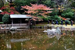 神池庭園を散策する修学旅行の中学生