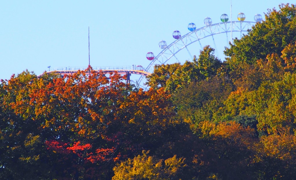丘の紅葉