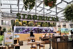 スタバの店名が
