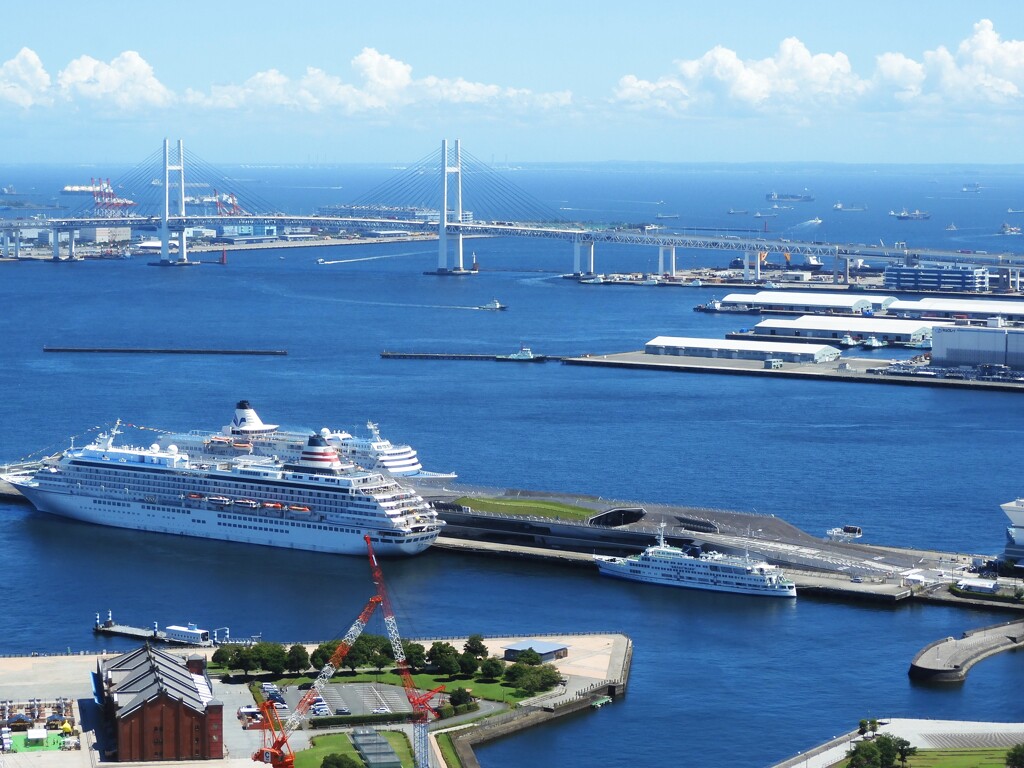 大桟橋と赤レンガパーク