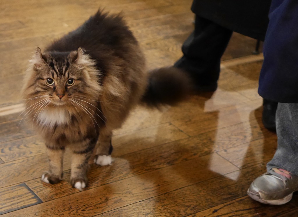 立ち止まって思案中