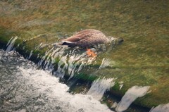 少し頭を冷やせ！