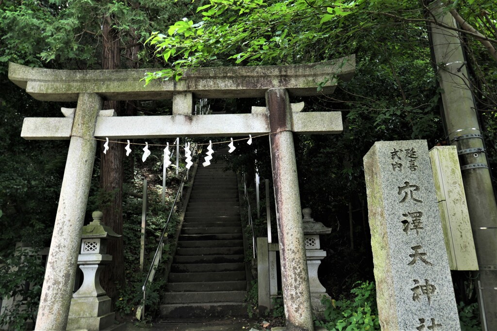 この参道がお勧め