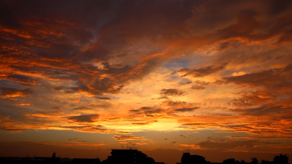 鮮やかな夕焼けに