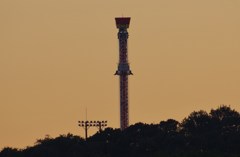 夕陽にヒャッホー！