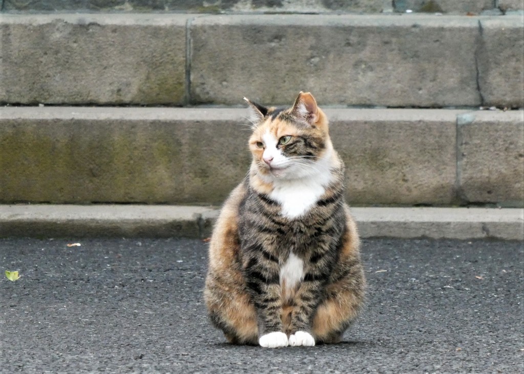 お静かに