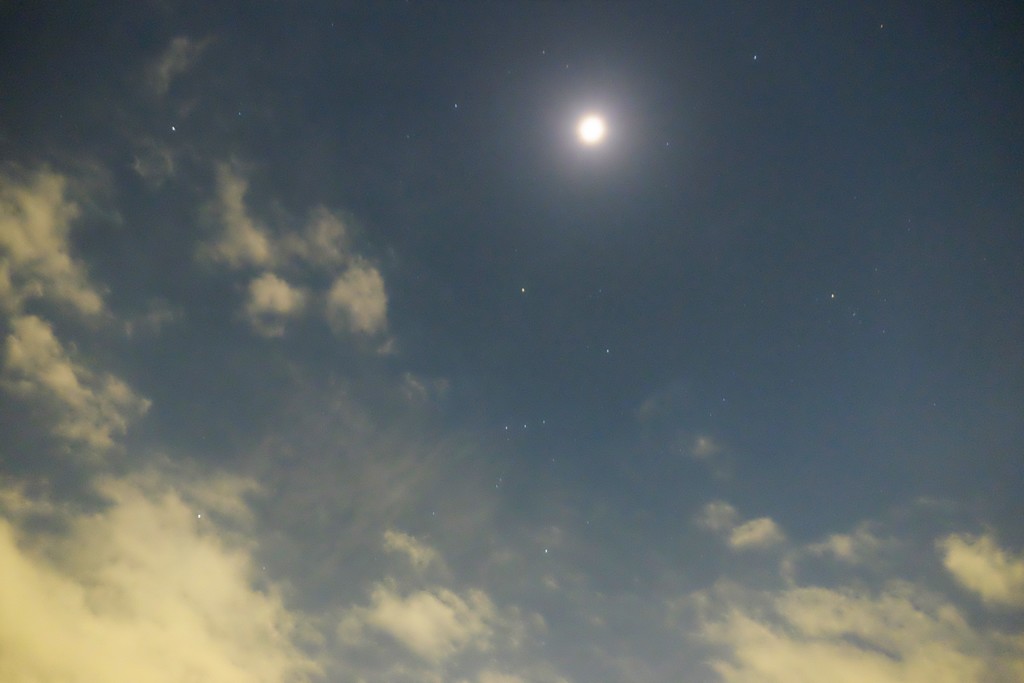 洗練されています