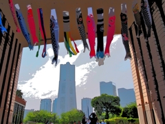 ナビオス横浜の鯉のぼり